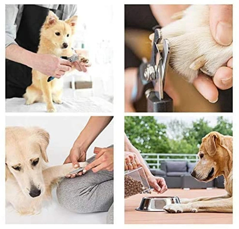 Stainless Pet Nail Clippers with Guard