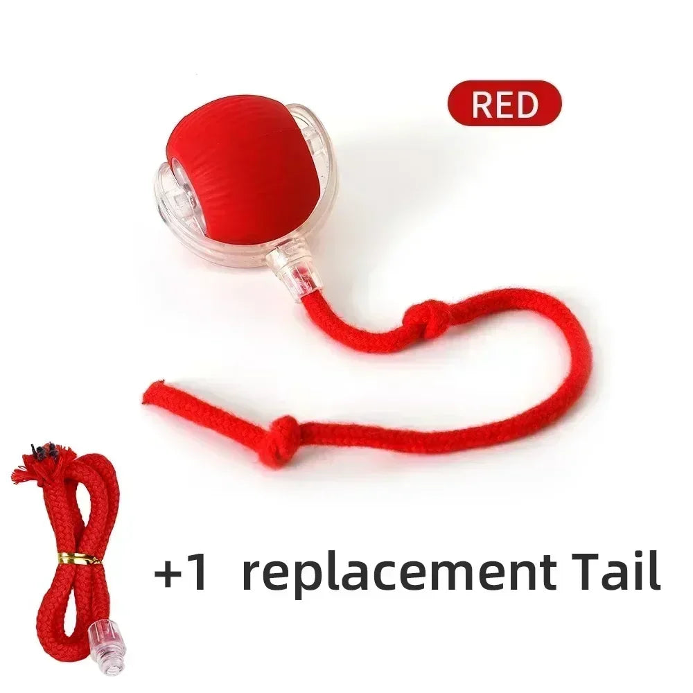 Cat Rolling Ball Toy