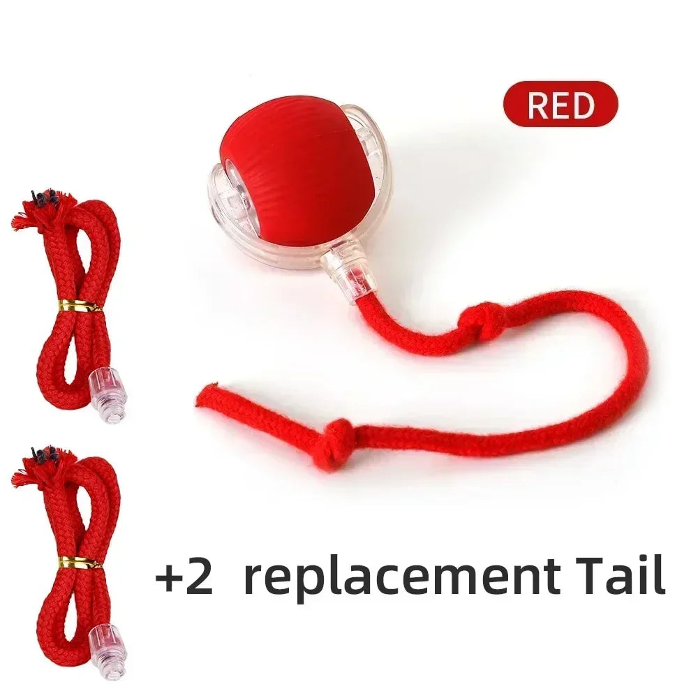 Cat Rolling Ball Toy