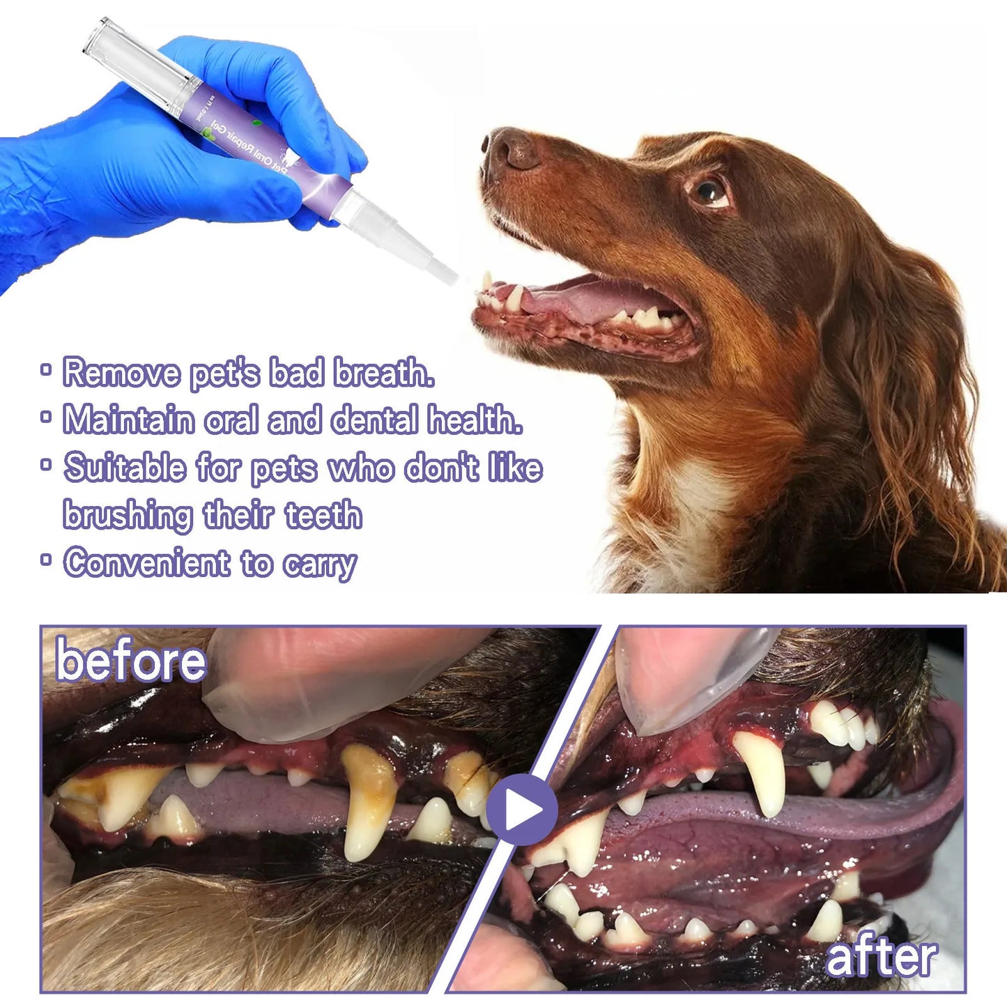 Pet Dental Gel