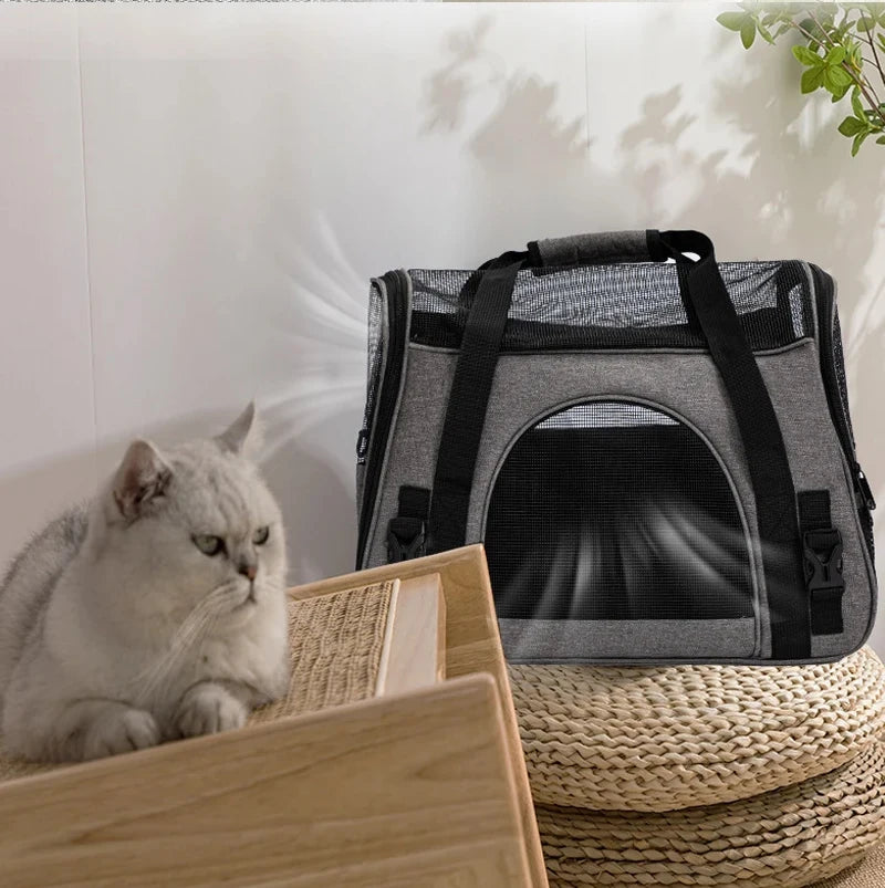 Foldable Mesh Pet Carrier Bag