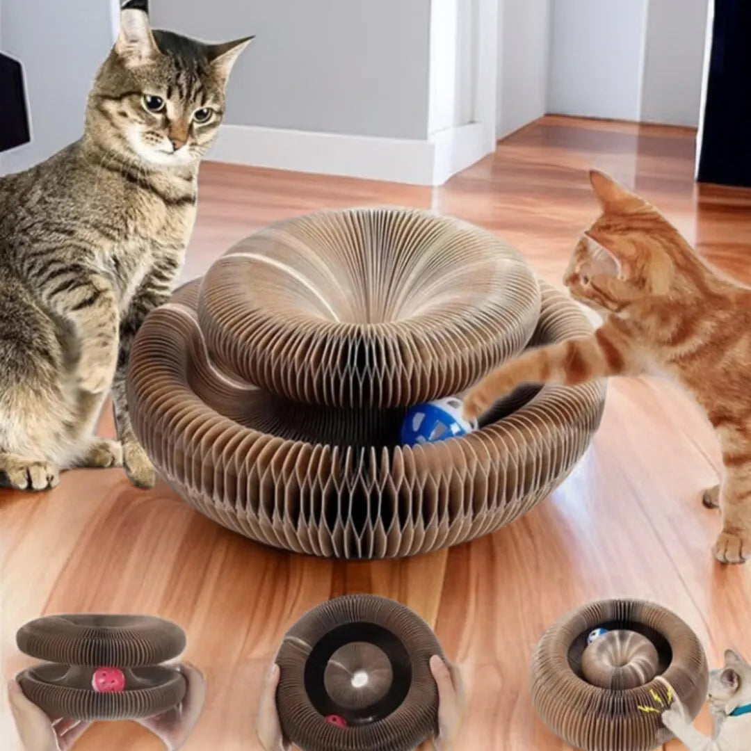 Magic Cat Scratcher Toy – Round Ball & Claw Board