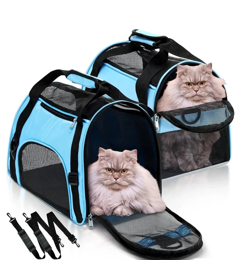 Foldable Mesh Pet Carrier Bag