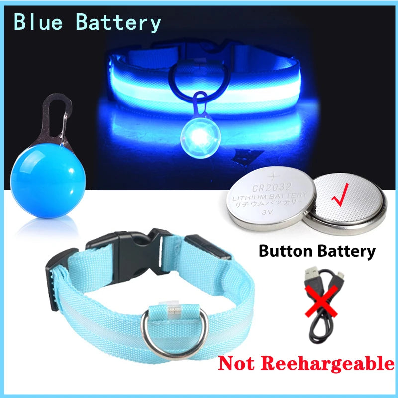 Glowing Dog Collar