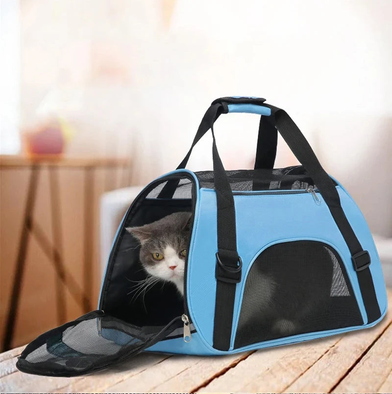 Foldable Mesh Pet Carrier Bag