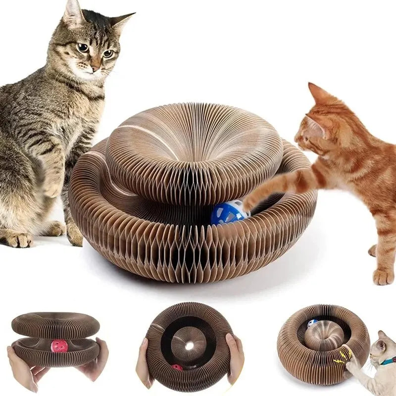 Magic Cat Scratcher Toy – Round Ball & Claw Board