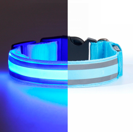Glowing Dog Collar