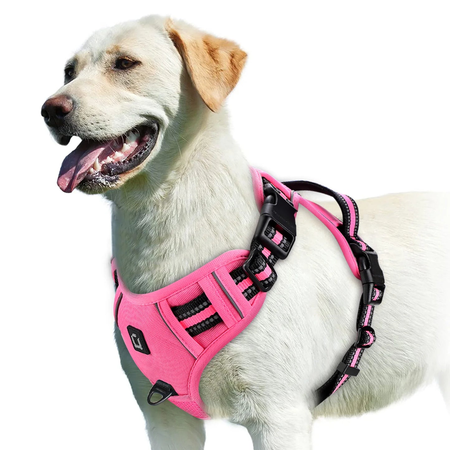 Adjustable No-Pull Pet Harness