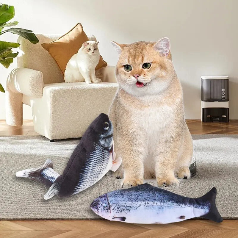 Floppy Fish Toy