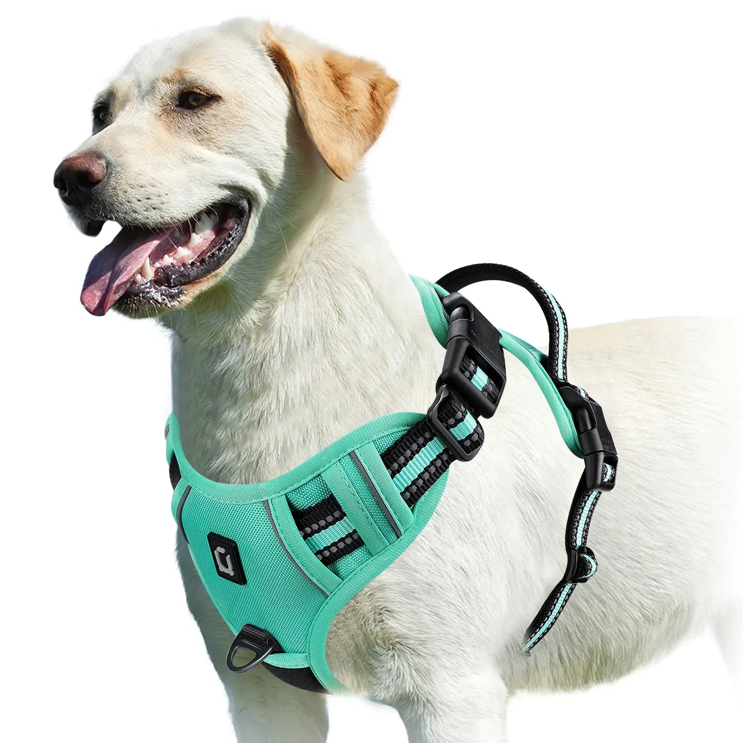 Adjustable No-Pull Pet Harness