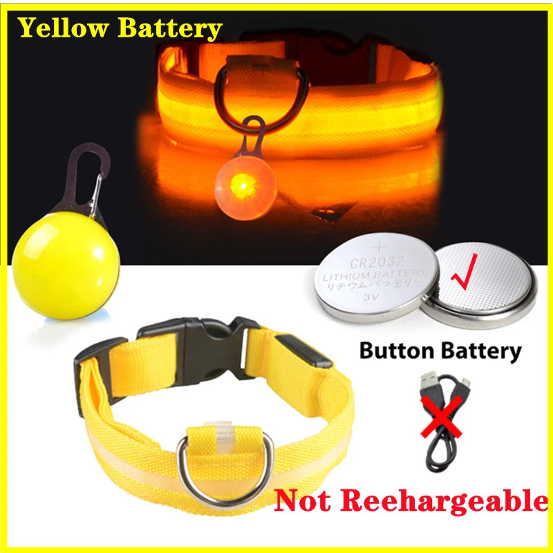 Glowing Dog Collar