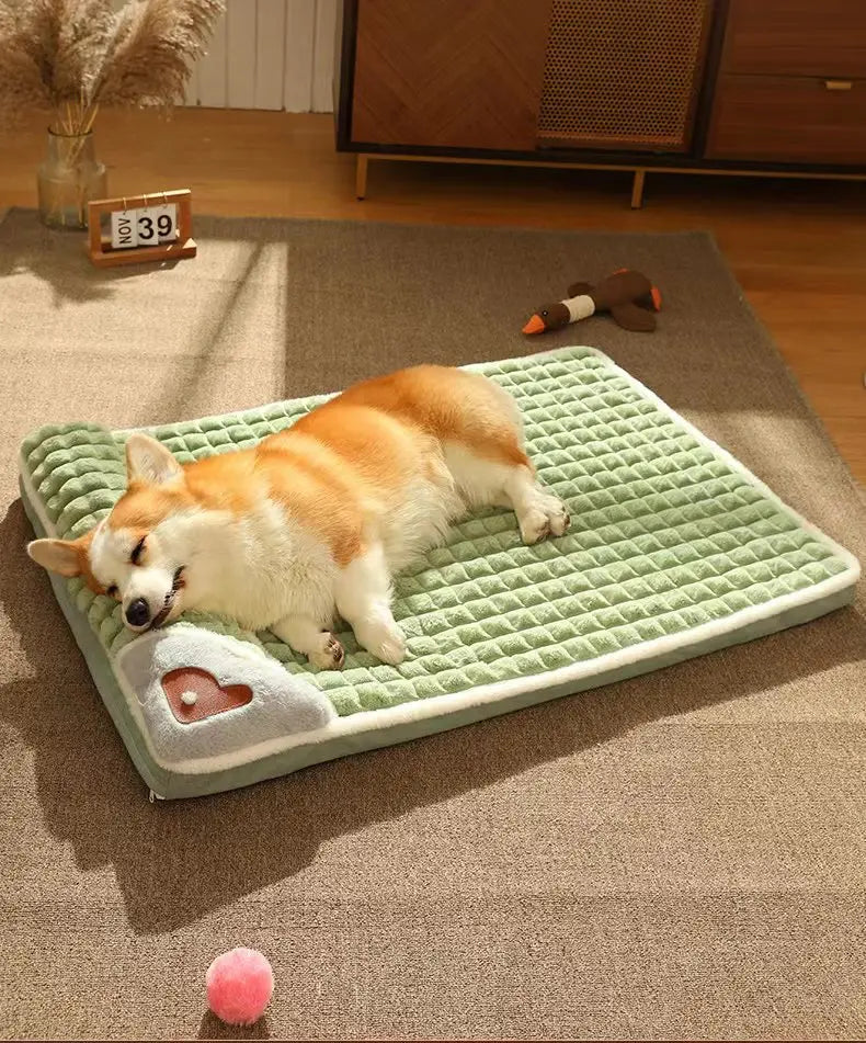 Orthopedic Pet Bed with Memory Foam