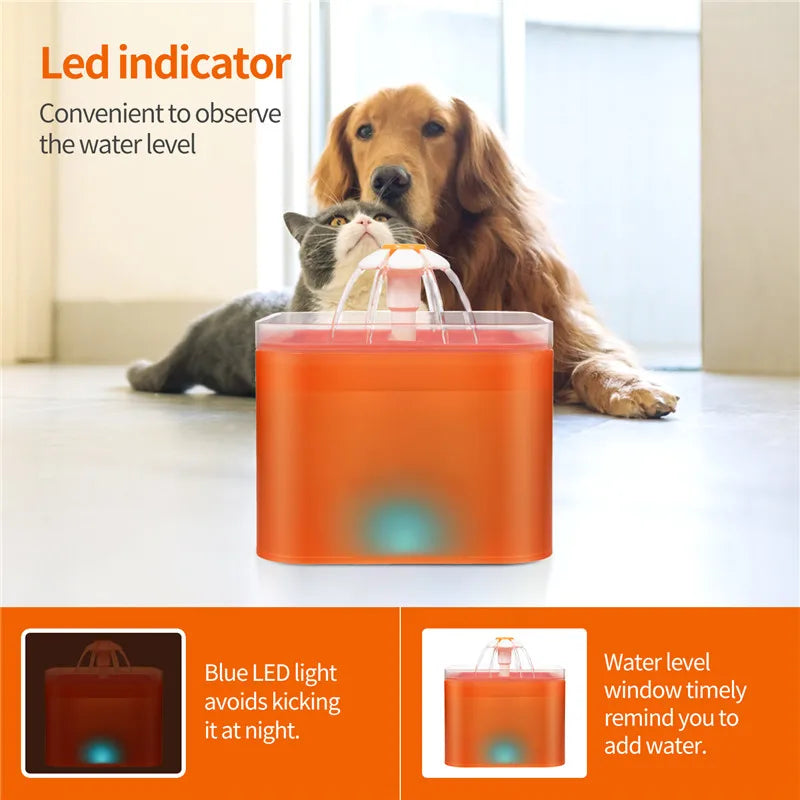 Pet Water Fountain with Light