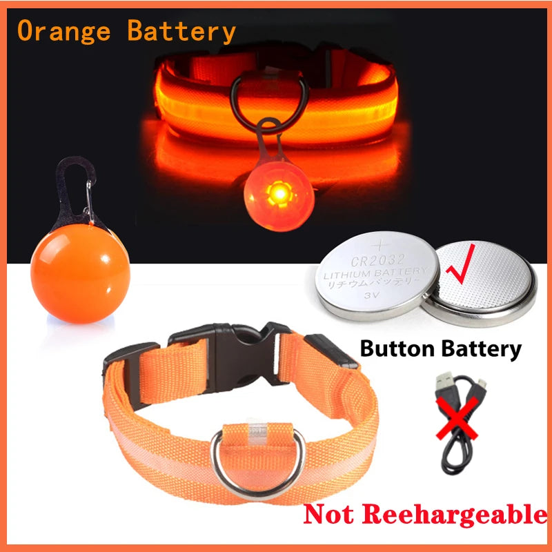 Glowing Dog Collar