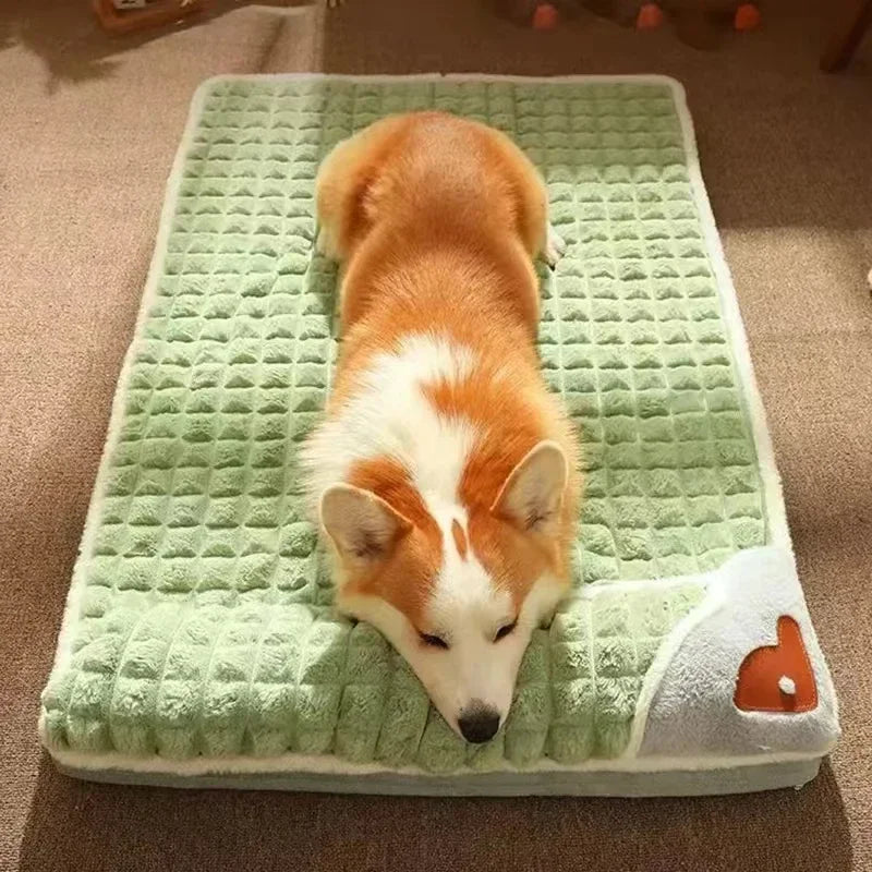 Orthopedic Pet Bed with Memory Foam
