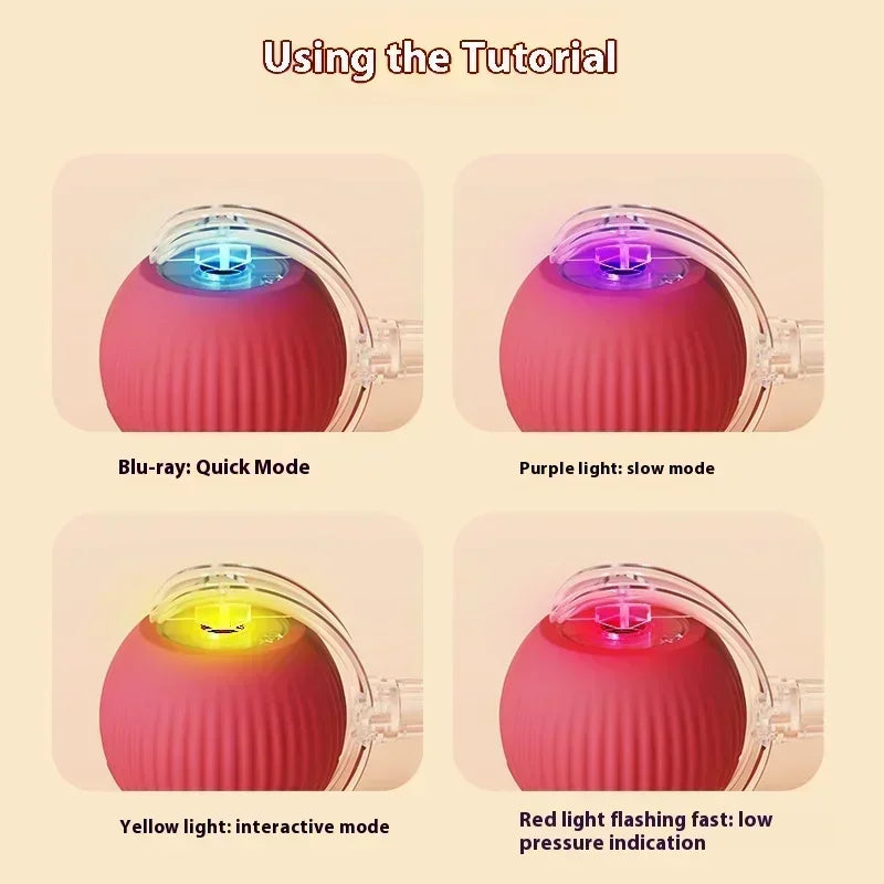 Cat Rolling Ball Toy