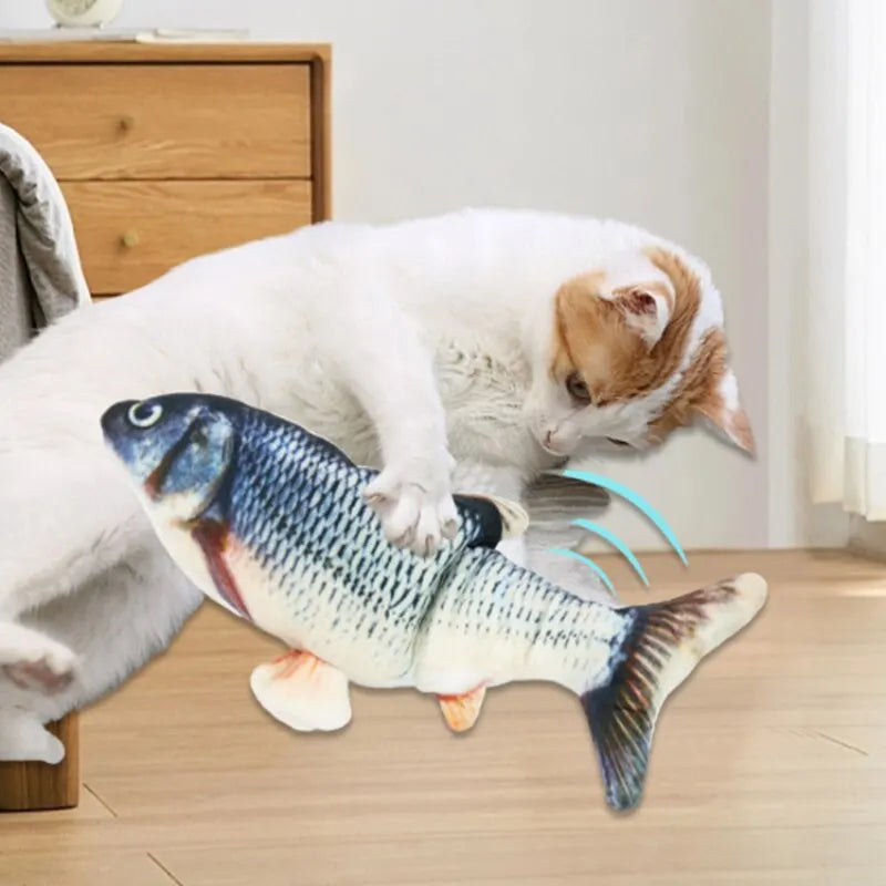 Floppy Fish Toy