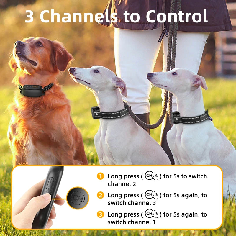 Rechargeable Pet Training Collar