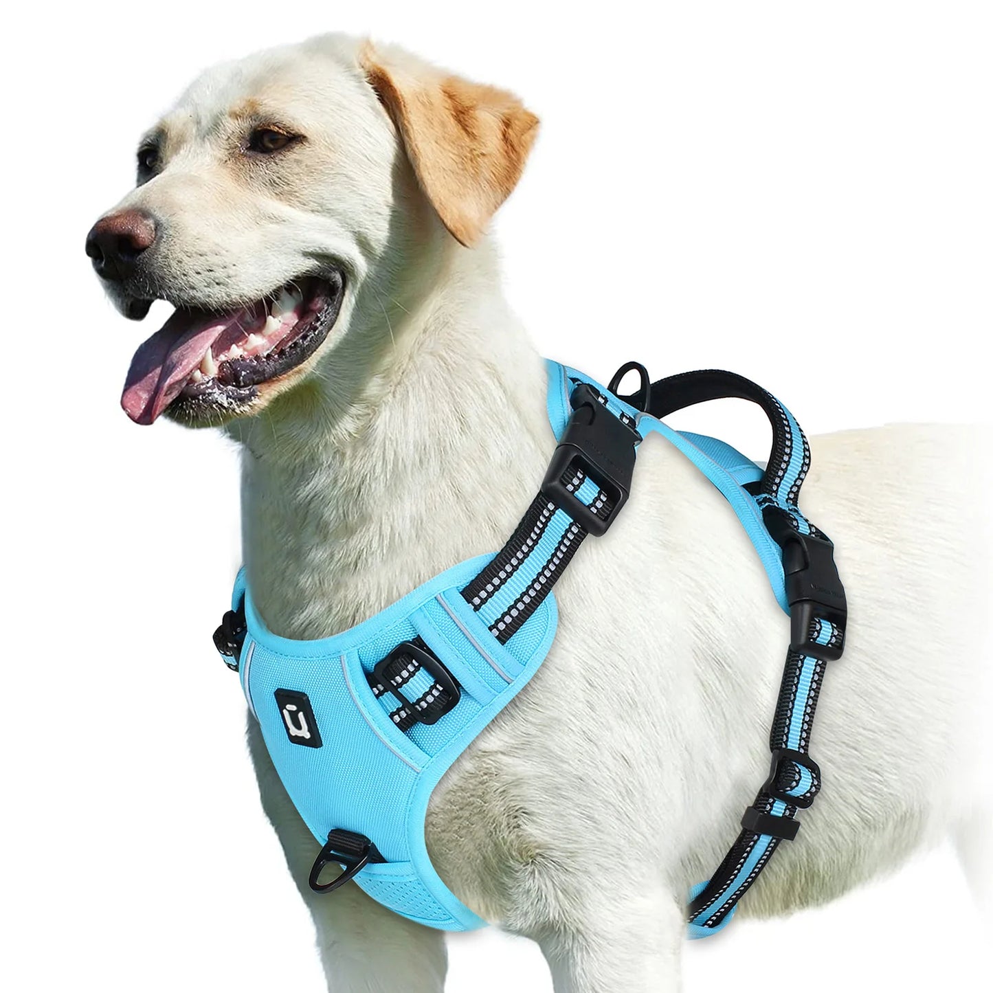 Adjustable No-Pull Pet Harness