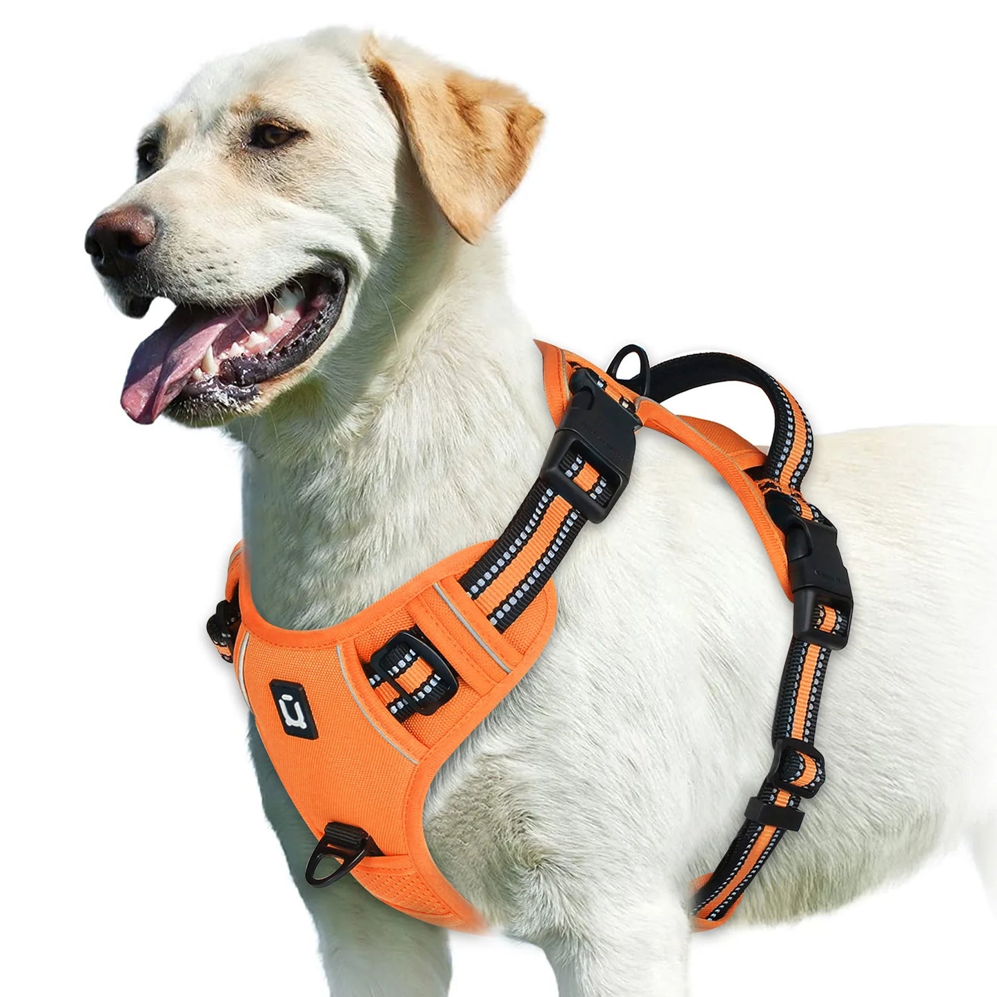 Adjustable No-Pull Pet Harness