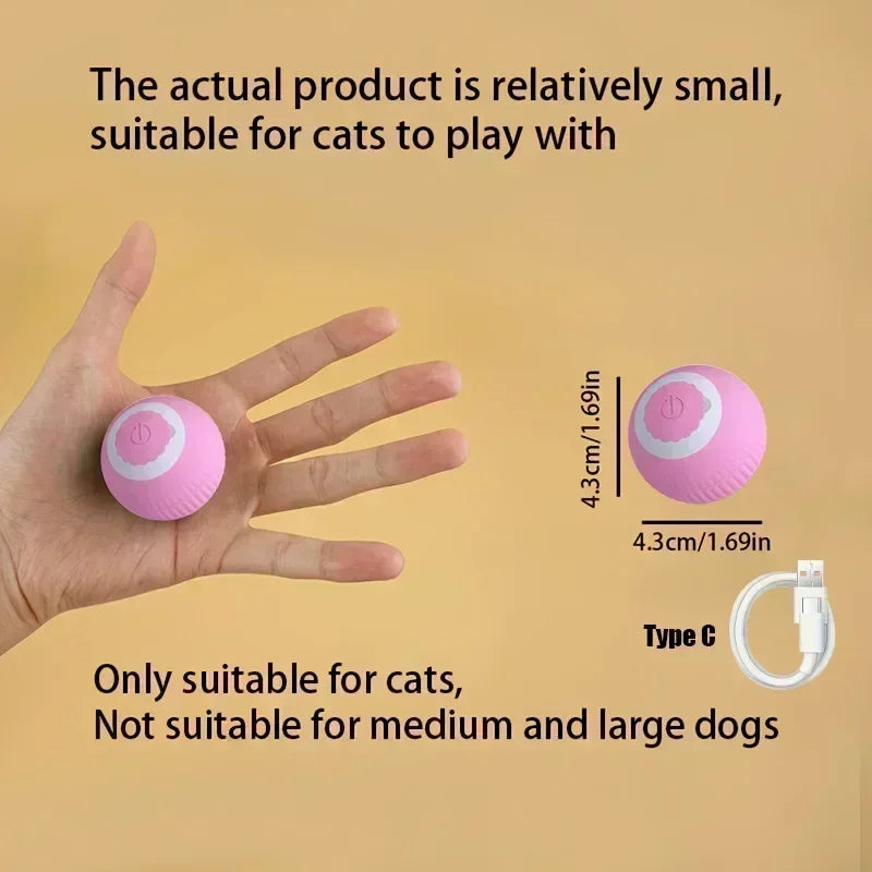 Cat Rolling Ball Toy
