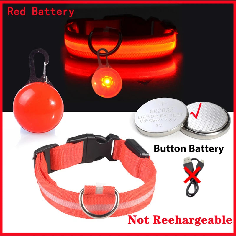 Glowing Dog Collar