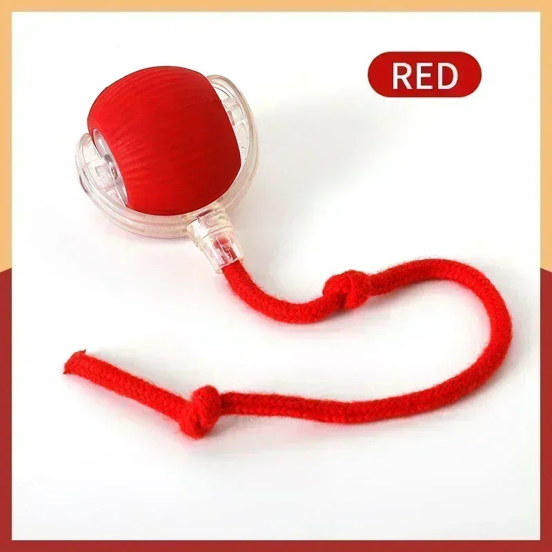 Cat Rolling Ball Toy
