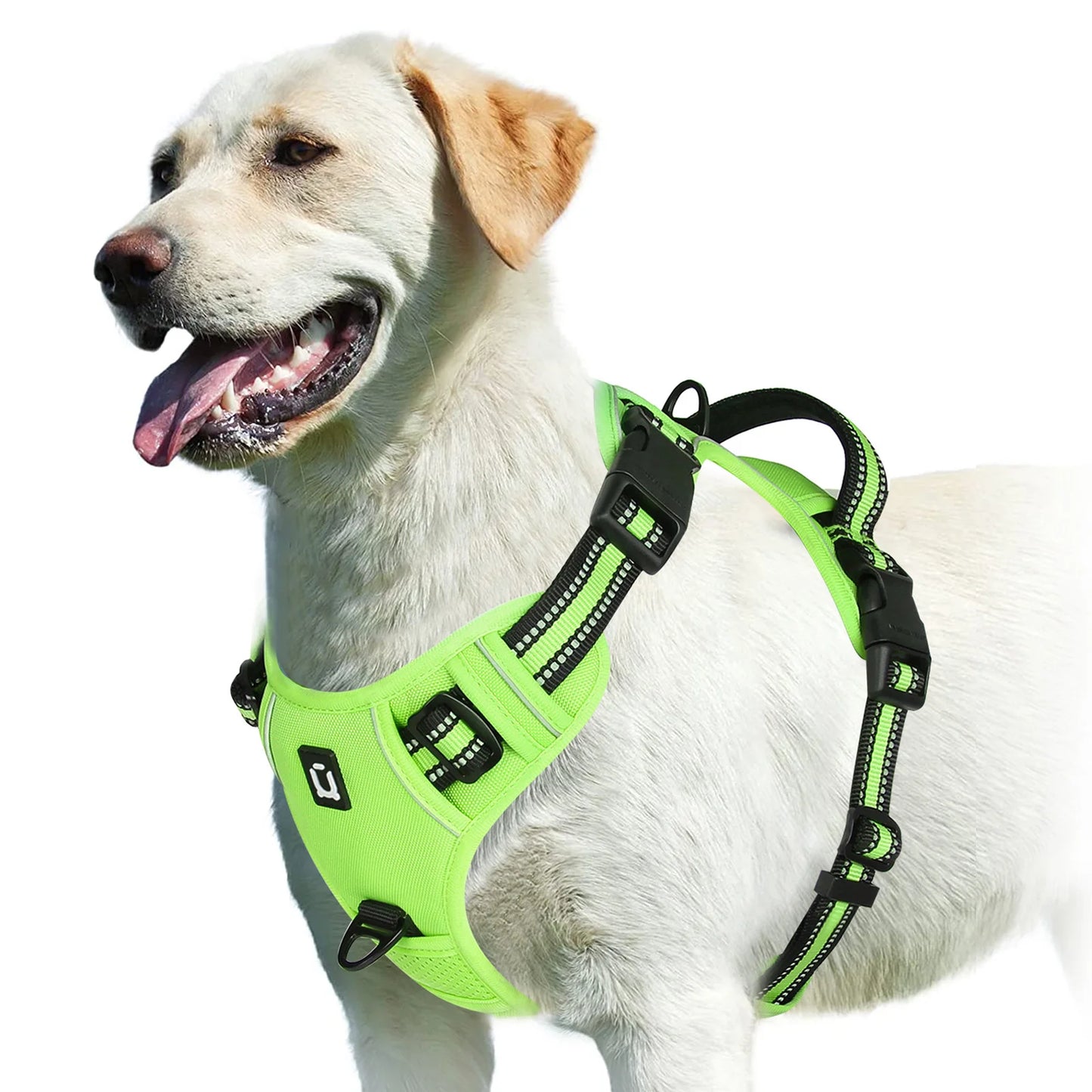 Adjustable No-Pull Pet Harness