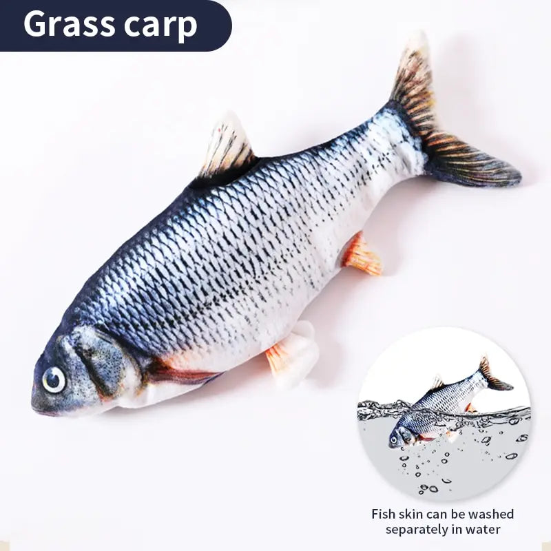 Floppy Fish Toy