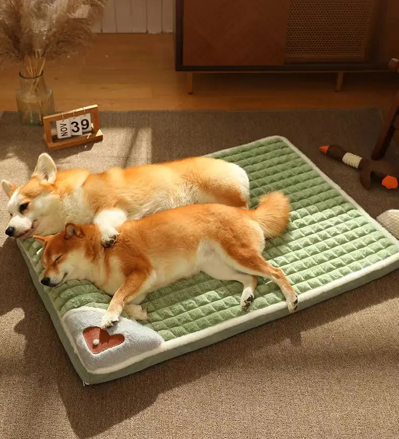 Orthopedic Pet Bed with Memory Foam