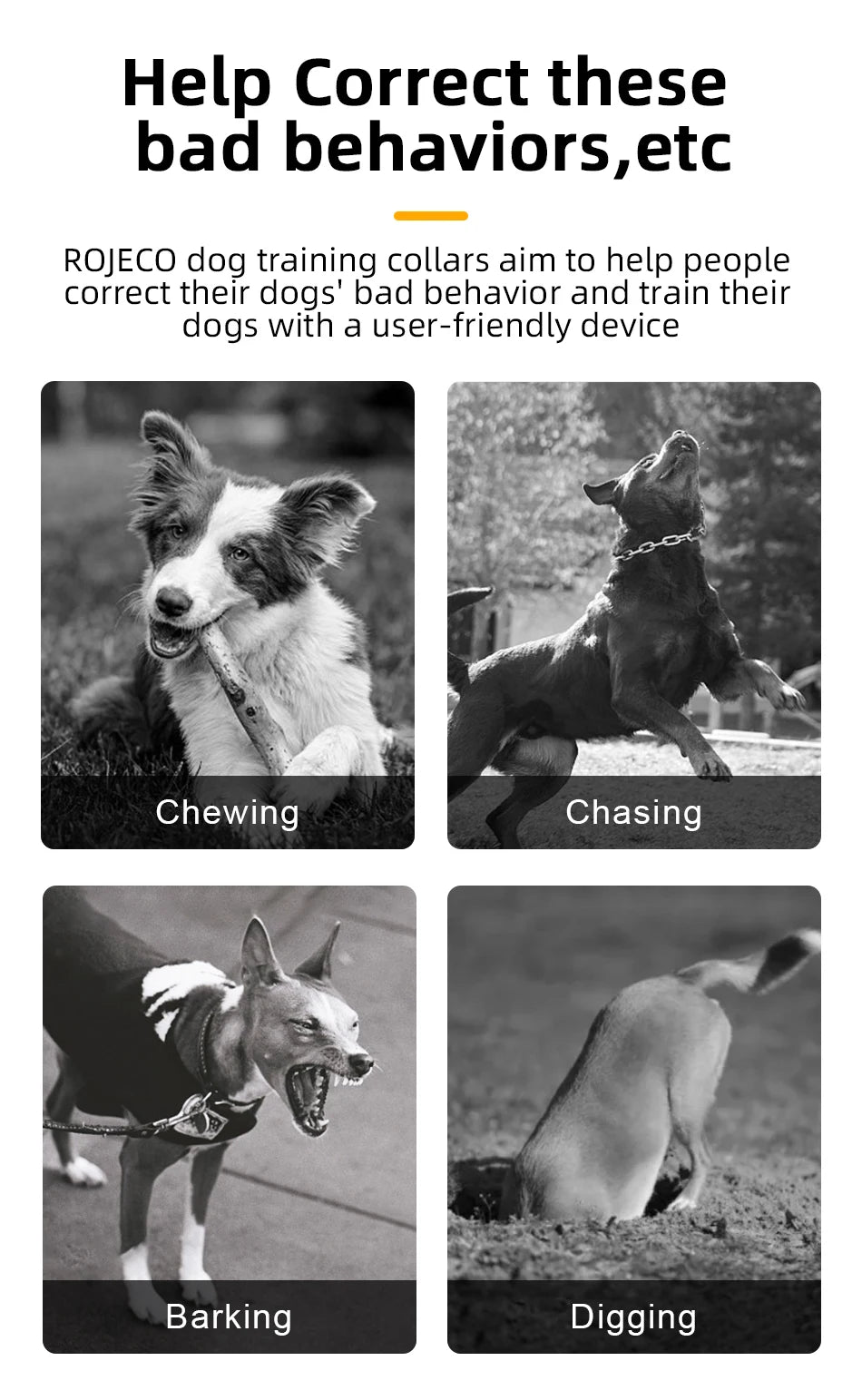 Rechargeable Pet Training Collar