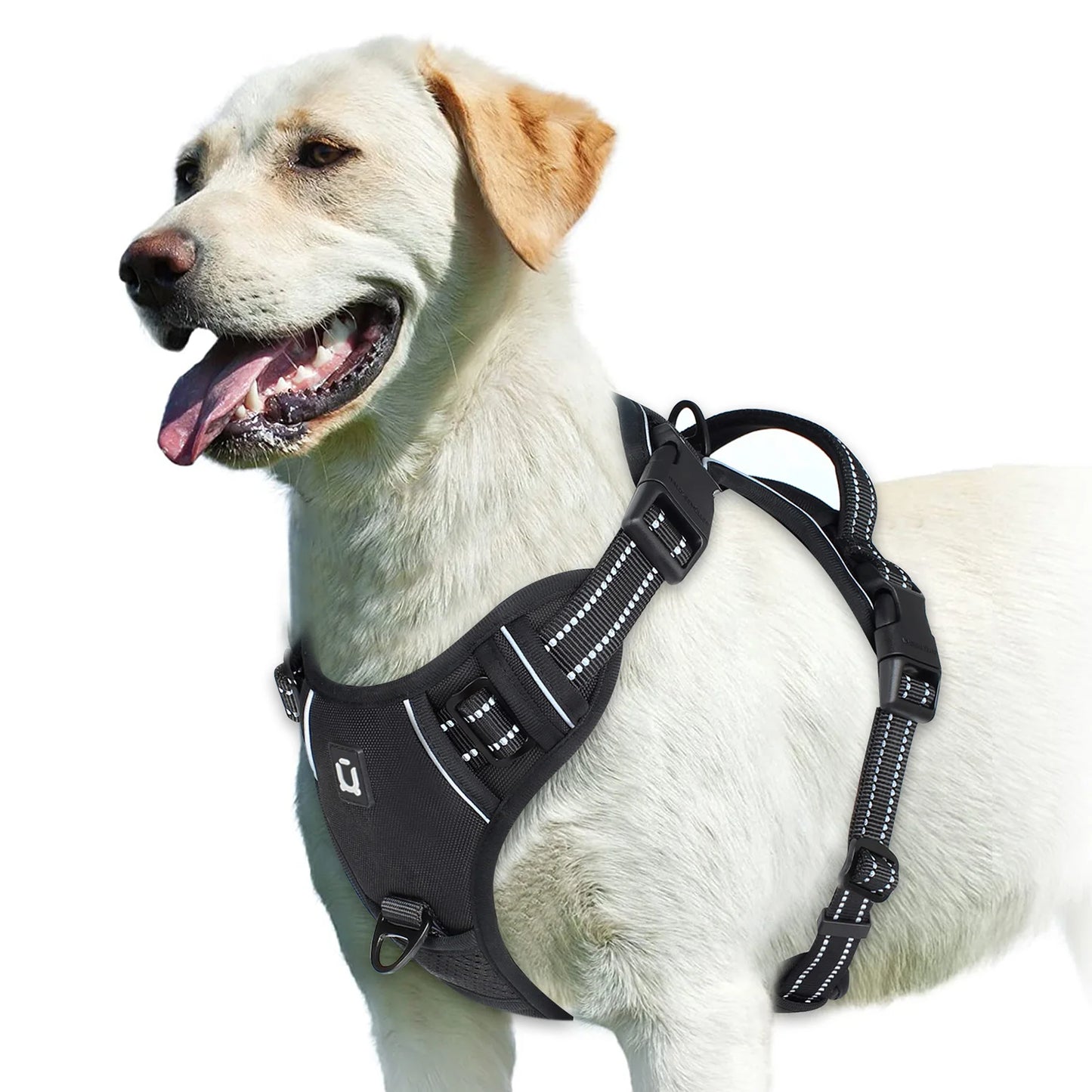 Adjustable No-Pull Pet Harness