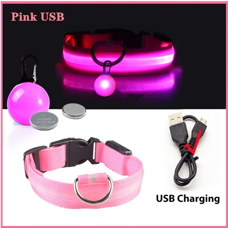 Glowing Dog Collar