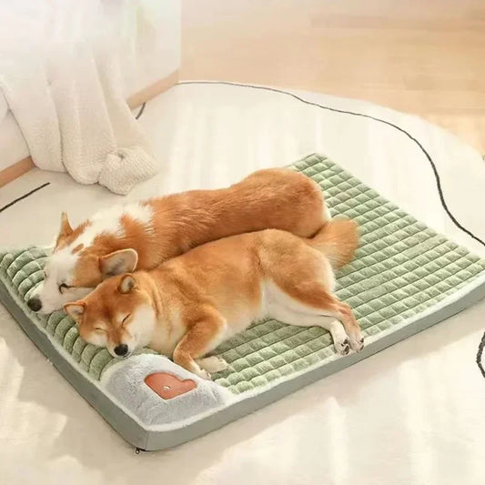 Orthopedic Pet Bed with Memory Foam