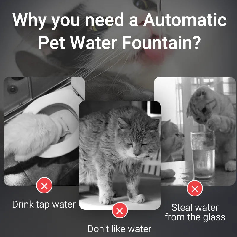 Smart Pet Water Fountain with Filter
