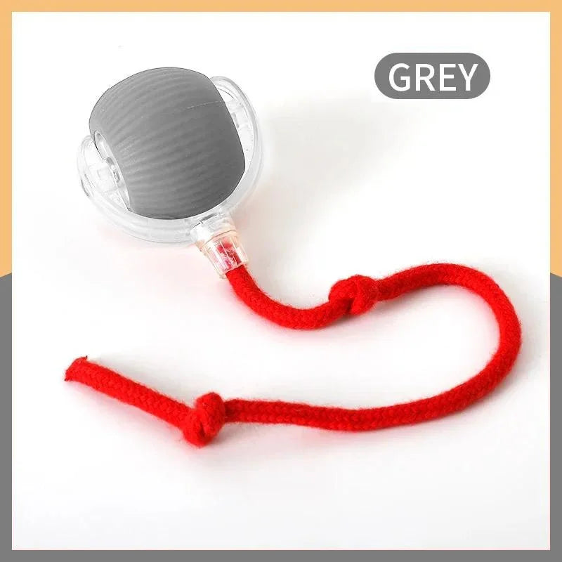 Cat Rolling Ball Toy