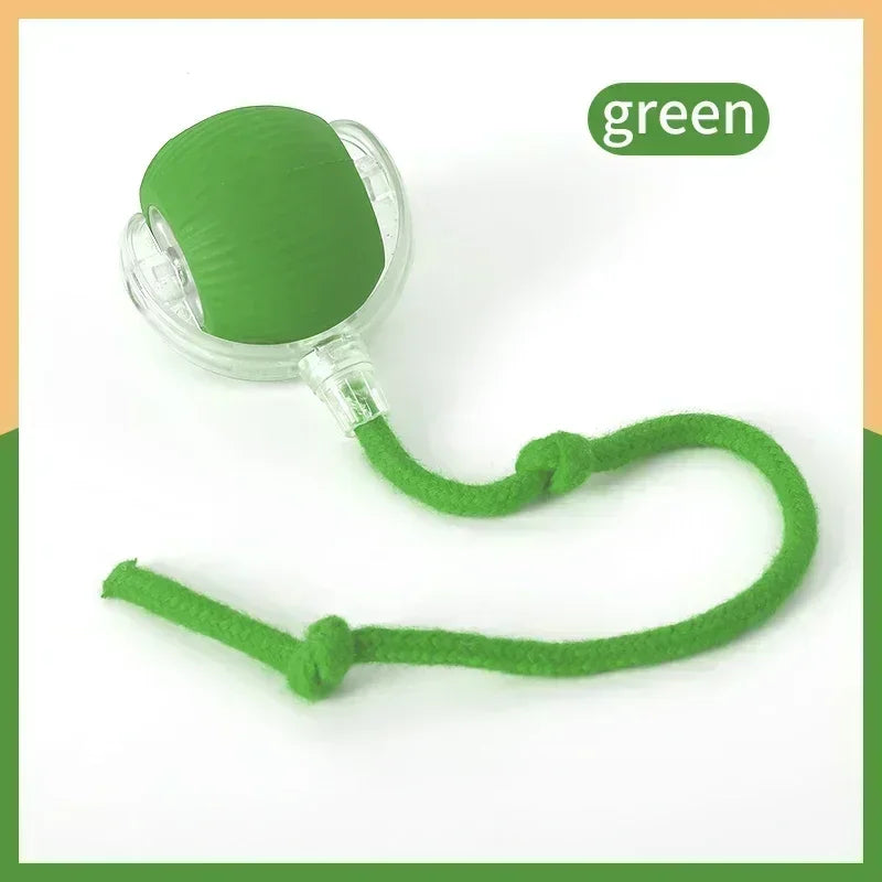 Cat Rolling Ball Toy