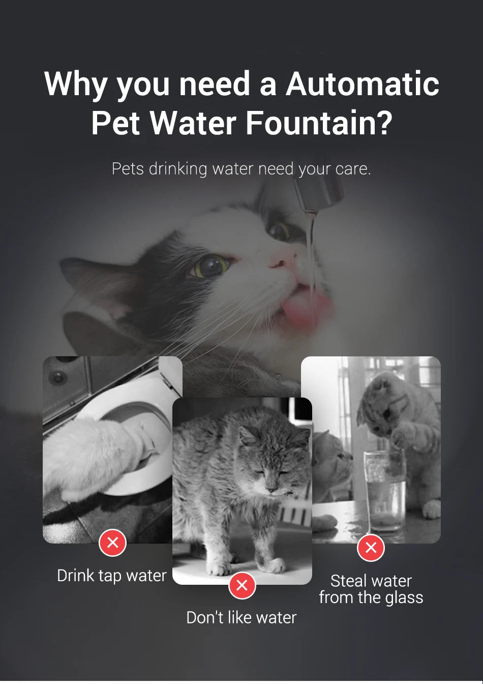 Smart Pet Water Fountain with Filter