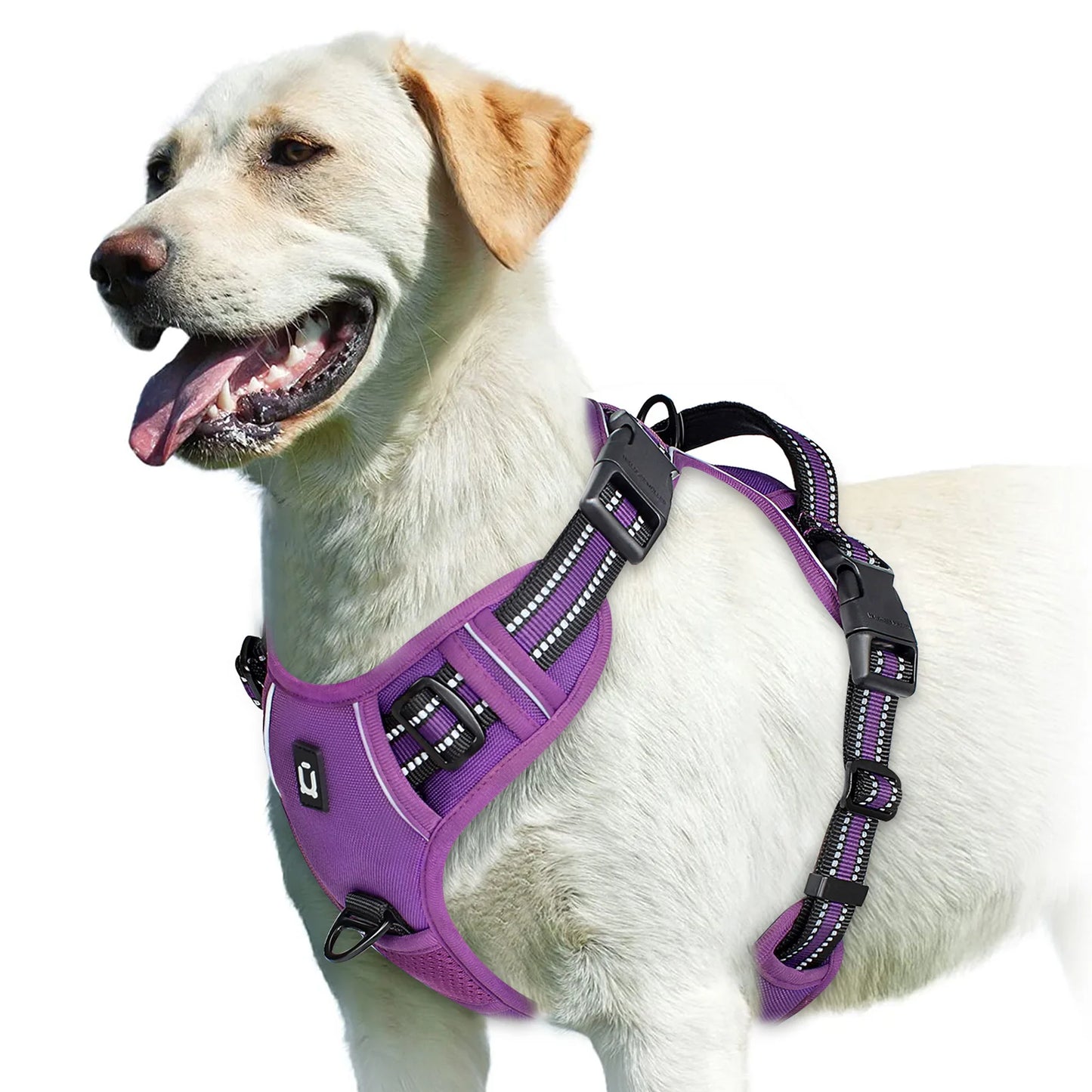 Adjustable No-Pull Pet Harness