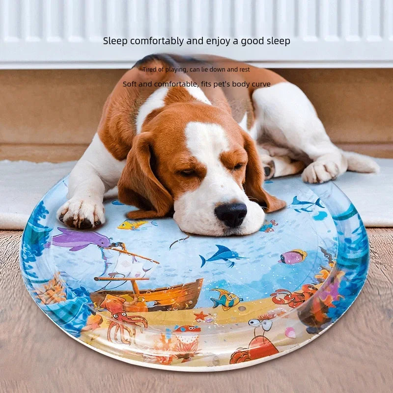 Interactive Cat Water Play Mat