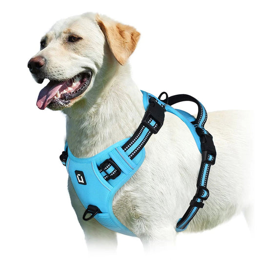Adjustable No-Pull Pet Harness