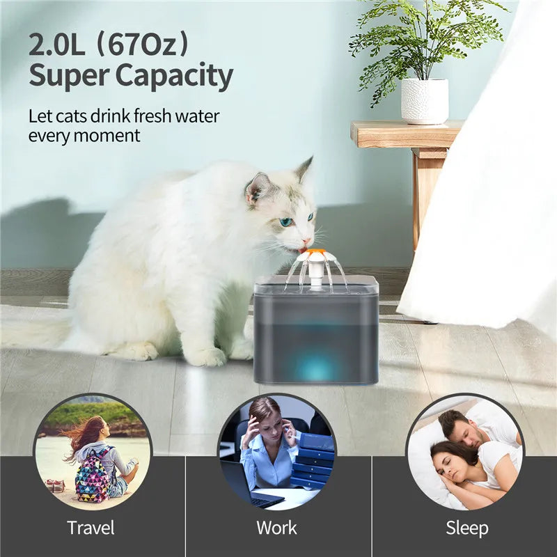 Pet Water Fountain with Light