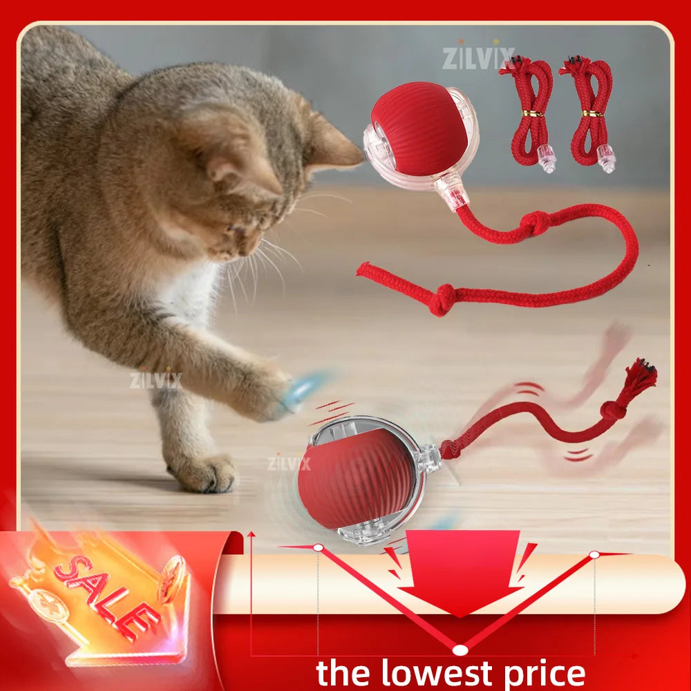 Cat Rolling Ball Toy