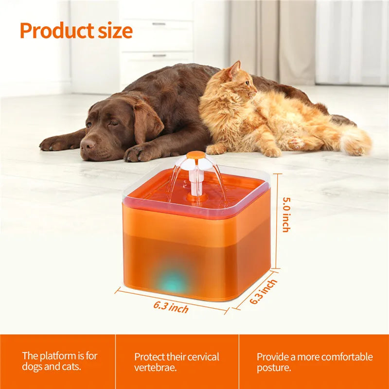 Pet Water Fountain with Light