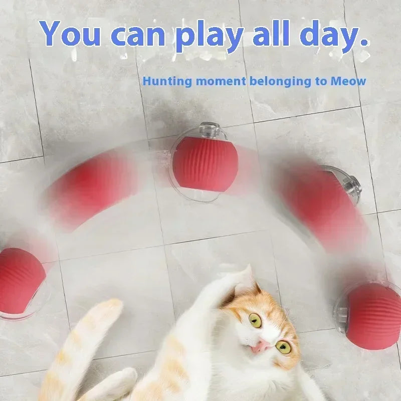 Cat Rolling Ball Toy