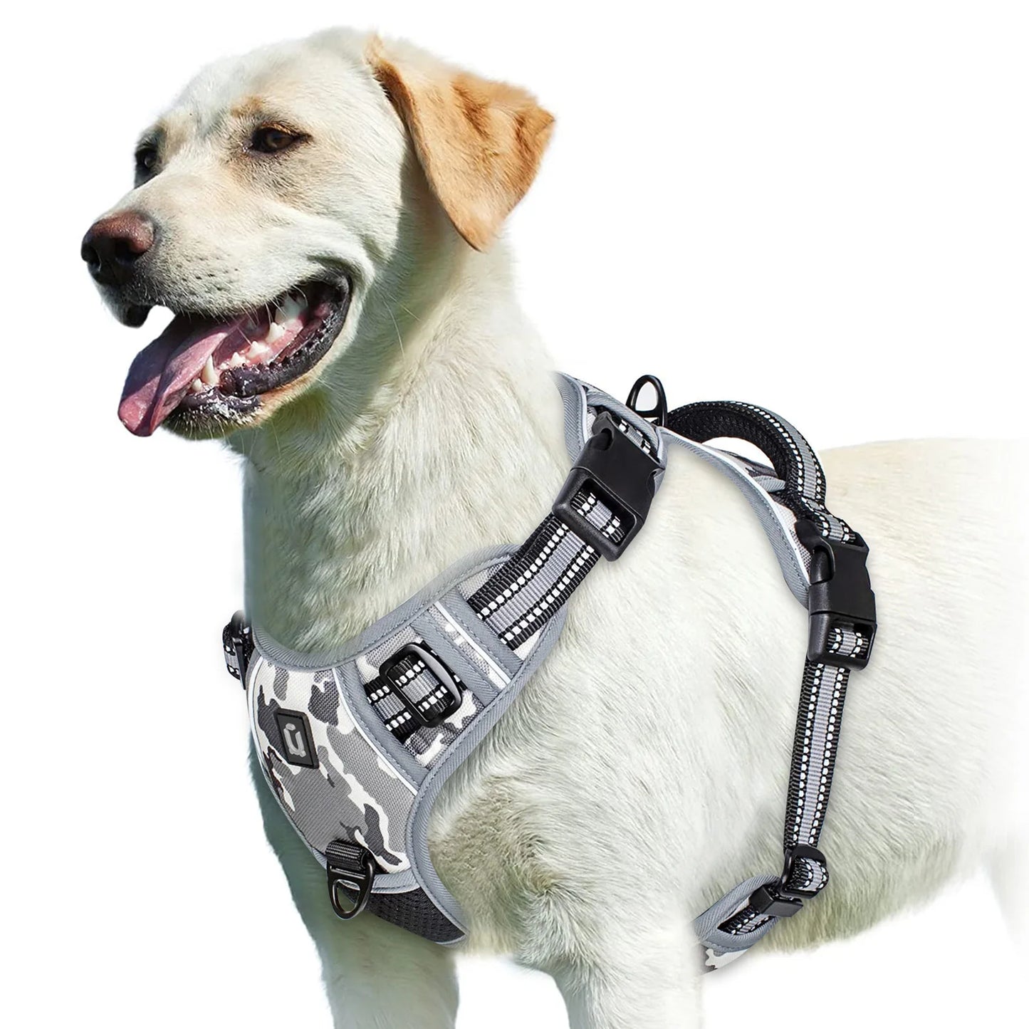 Adjustable No-Pull Pet Harness