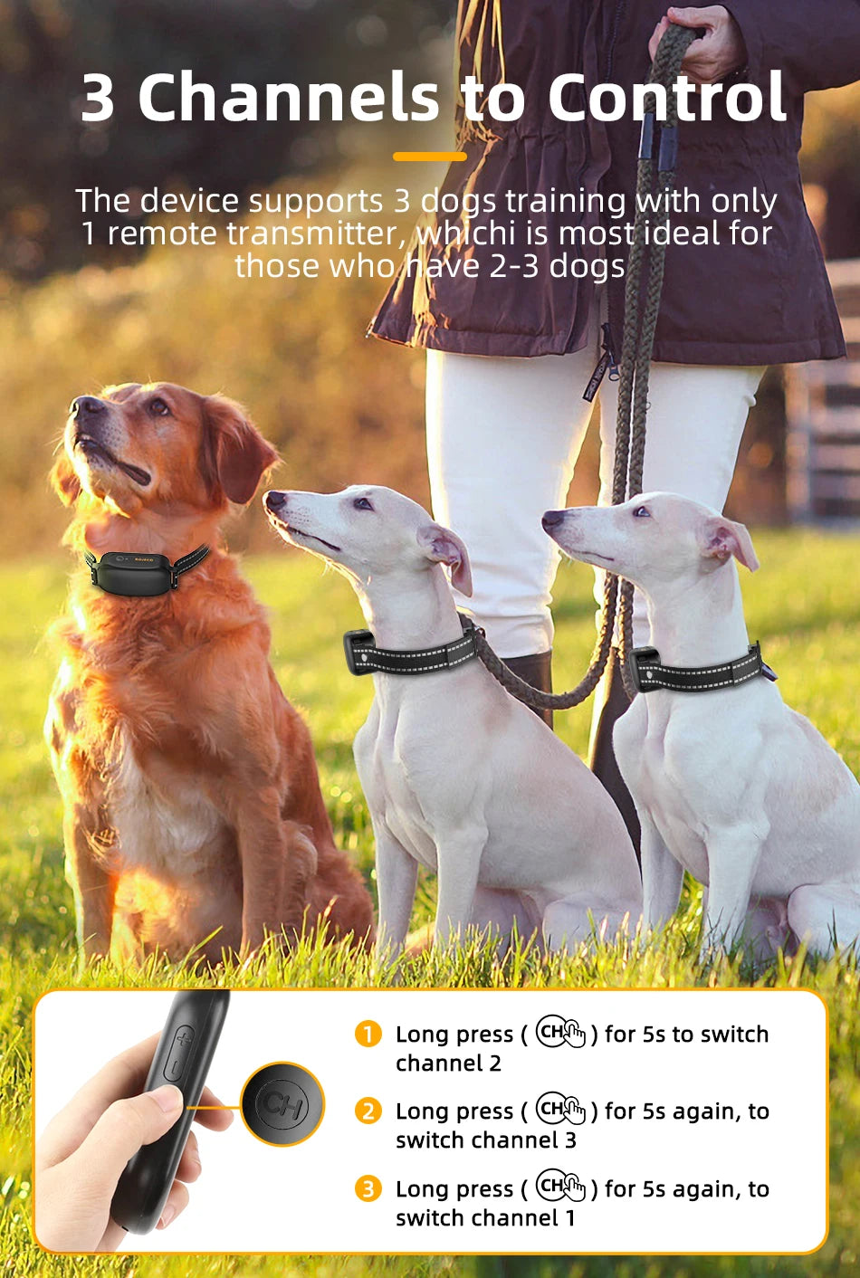 Rechargeable Pet Training Collar
