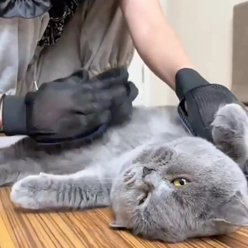 Silicone Grooming Gloves for Dogs & Cats
