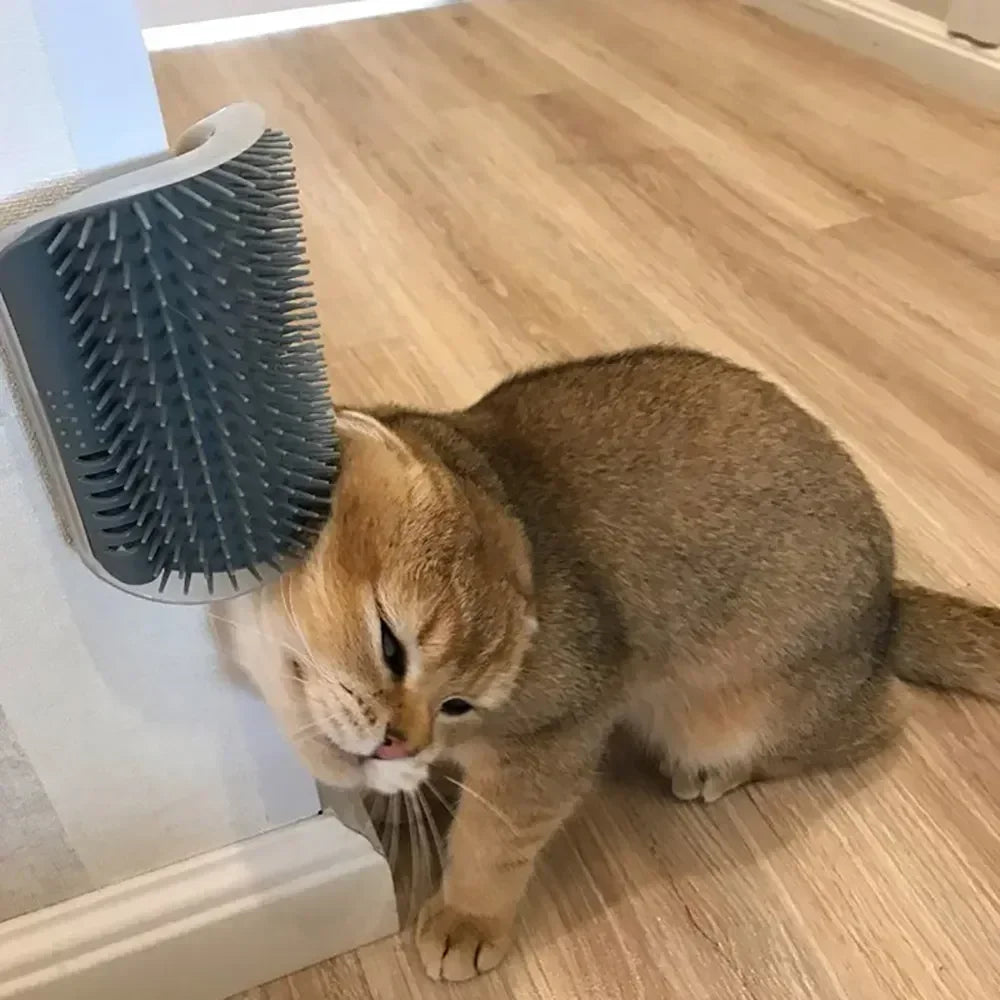 Wall-Mounted Pet Corner Brush
