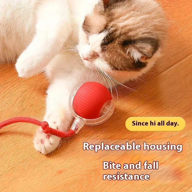 Cat Rolling Ball Toy